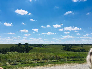 Meet your Posher, Jordan